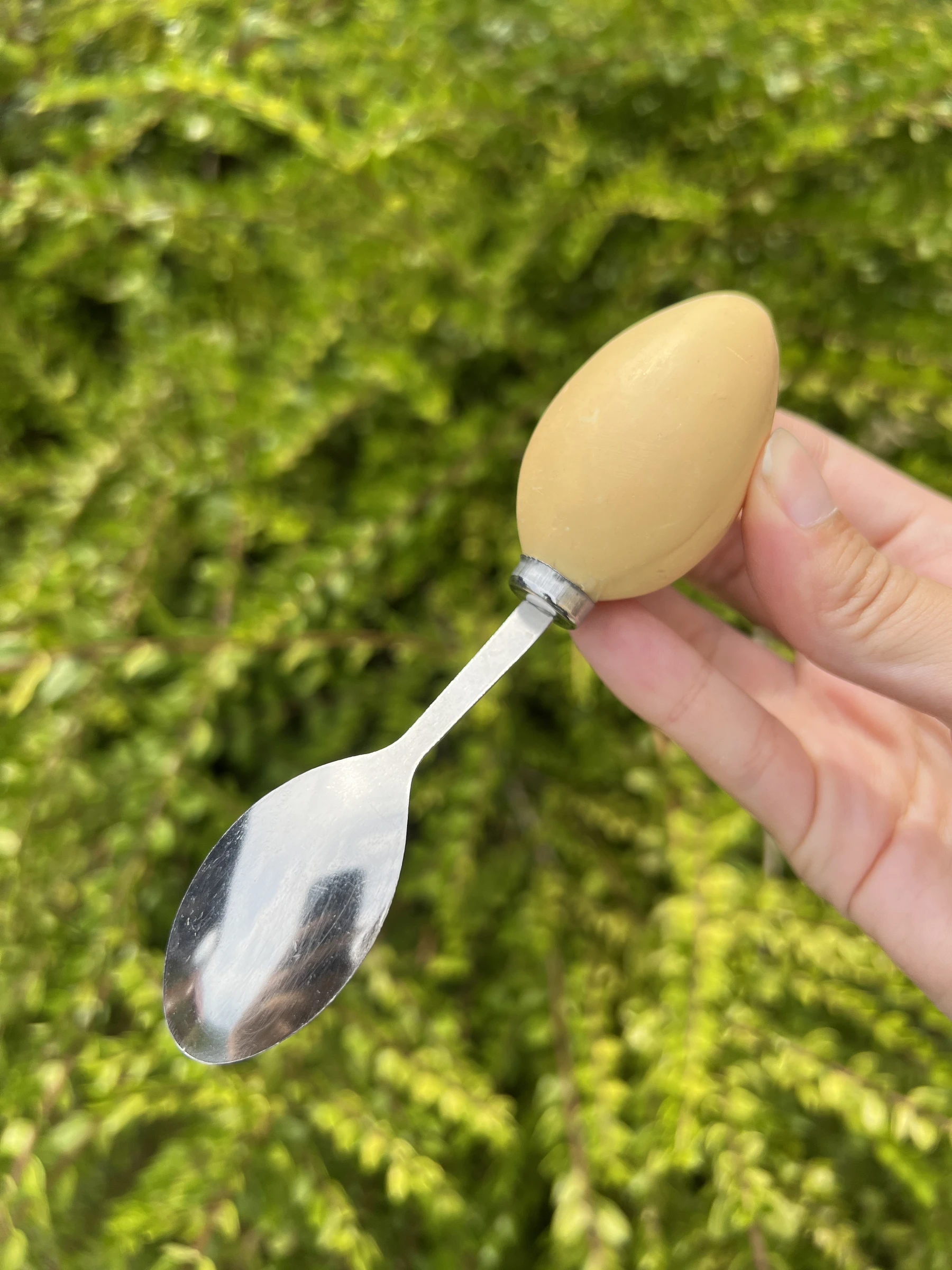 Resine kippenschep met 6 kleine vintage eellepels – photo 10